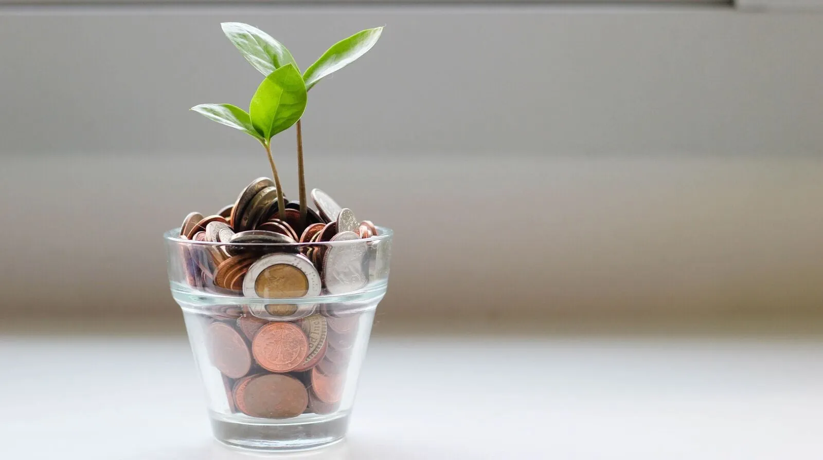 Independence Day: To get freedom from volatility, explore THESE 6 investment options