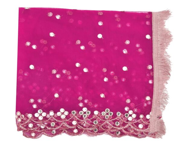 1750614830 YOUTHQUAKE Plastic Mirror Emboridered Net Dupatta for Womens Girls With Fancy Cut Design with Lace.jpg