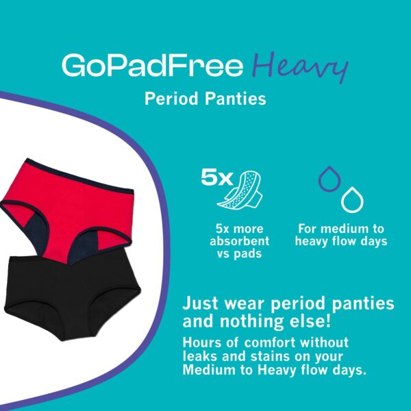 1750912137 HEALTHFAB The Fabulous You Gopadfree Heavy Period Panty Hipster Leak Proof Underwear for Medium to Heavy.jpg