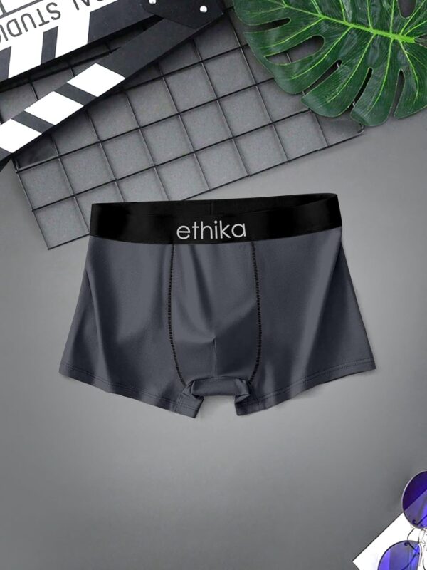 1750925662 Ethika Mens Extra Thin Elastic Underwear Long Comfortable Ice Silk Breathable Comfort Brief Boxer Trunks.jpg