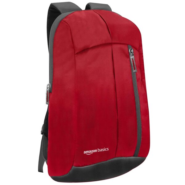 1750940656 amazon basics Mini Backpack for Outdoor Use 12 l Red.jpg