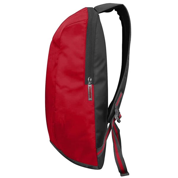 1750940657 amazon basics Mini Backpack for Outdoor Use 12 l Red.jpg