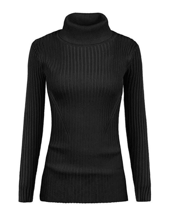 1750977836 DENIMHOLIC Womens Cotton Turtle Neck Sweater.jpg