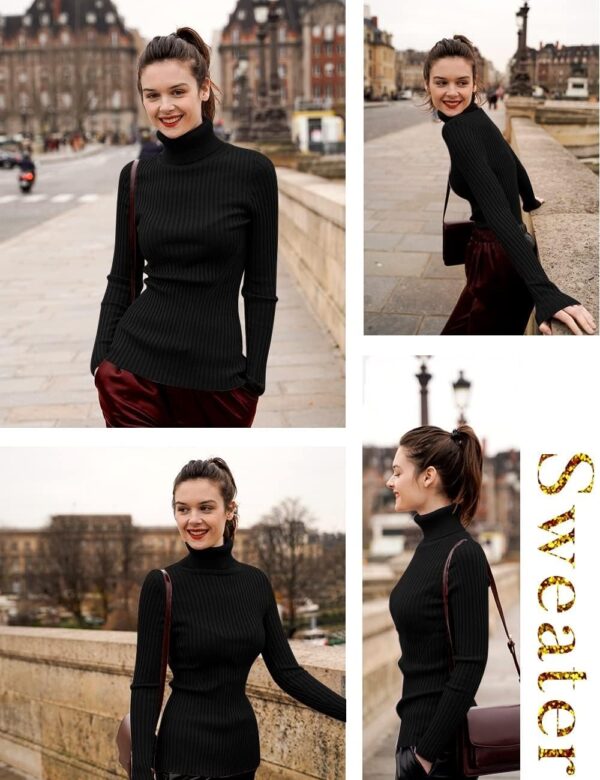 1750977837 DENIMHOLIC Womens Cotton Turtle Neck Sweater.jpg