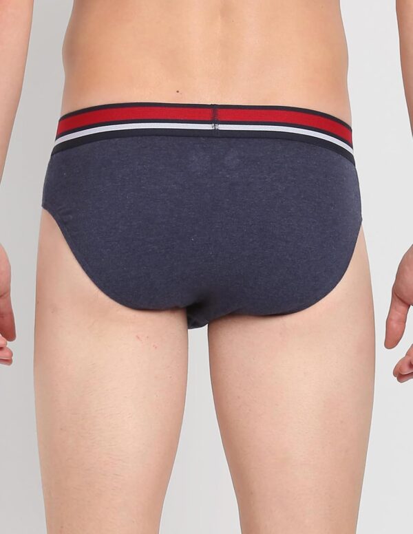1750979096 U.S. POLO ASSN. Mens Elasticized Waist Pure Cotton I006 Briefs Pack of 3.jpg