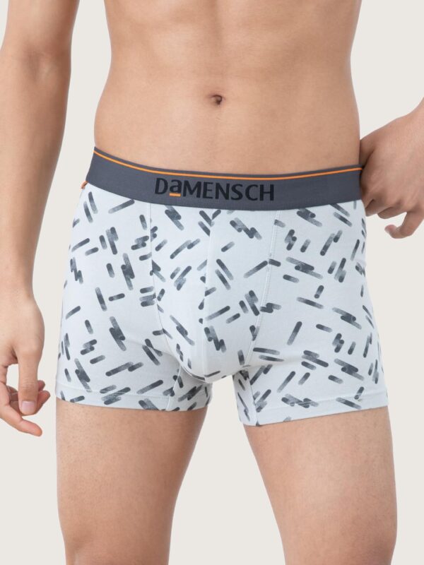 1750980640 DAMENSCH Men Cotton Trunks.jpg
