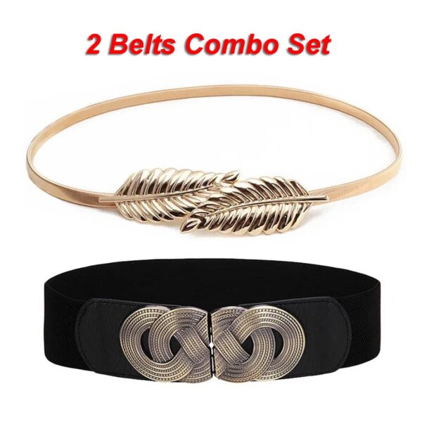 1751093928 Shining Diva Fashion 2pcs Combo Waist Belts for Women and Girls Stylish Belts for Dresses Jeans Saree.jpg