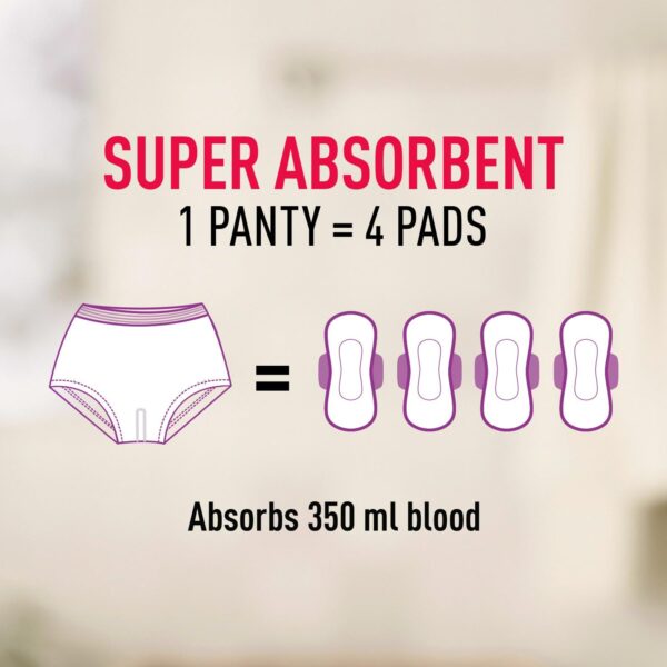 1751100440 Sirona Disposable Period Panties for Women XXL 360° Sanitary Protection for Super Heavy Flow No Leakage.jpg