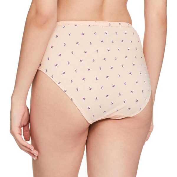 1751102493 Van Heusen Women Cotton Printed Pack of 3 Hipster Panty Anti Bacterial Full Back Coverage Colors Prints.jpg