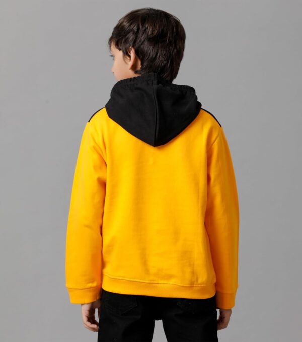 1751149448 KYDA KIDS Unisex Child Cotton Hooded Sweatshirt.jpg