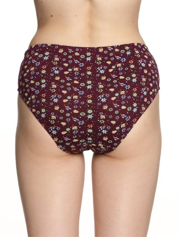 1751206466 Lux Amore Womens High Coverage Super Combed Cotton Elastane Stretch Mid Waist Hipster Panties with Concealed.jpg