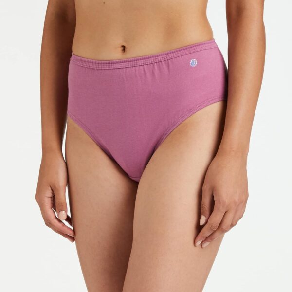 1751250475 Van Heusen Womens Cotton Solid And Slub Hipster Briefs Pack Of 3.jpg
