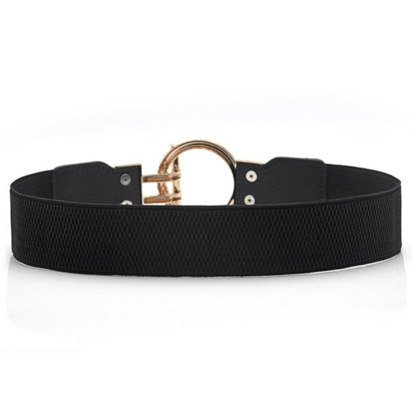 1751303141 REDHORNS Elastic Fabric Waist Belt for Women Dresses Round Buckle Design Stretchy Wide Ladies Belt for Saree.jpg