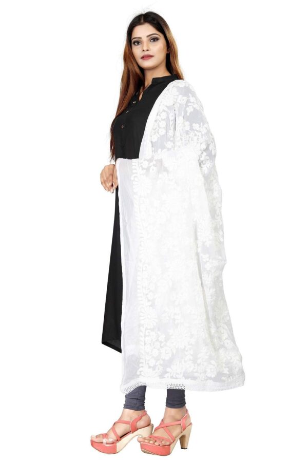 AvniNAnvi Women Dupatta - Image 3
