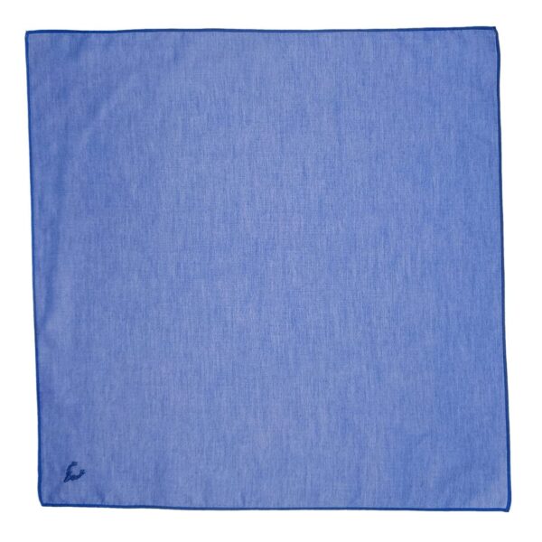 Allen Solly Men's Cotton Handkerchief (AHW16365E_Multi_One Size) - Image 6