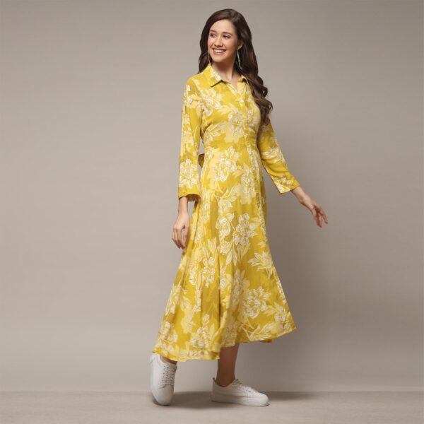 BIBA Women Liva Straight Printed Dress - Image 6