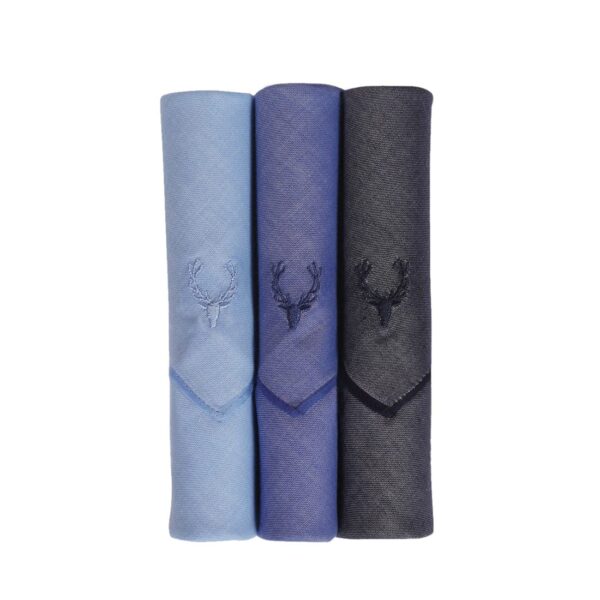 Allen Solly Men's Cotton Handkerchief (AHW16365E_Multi_One Size) - Image 2