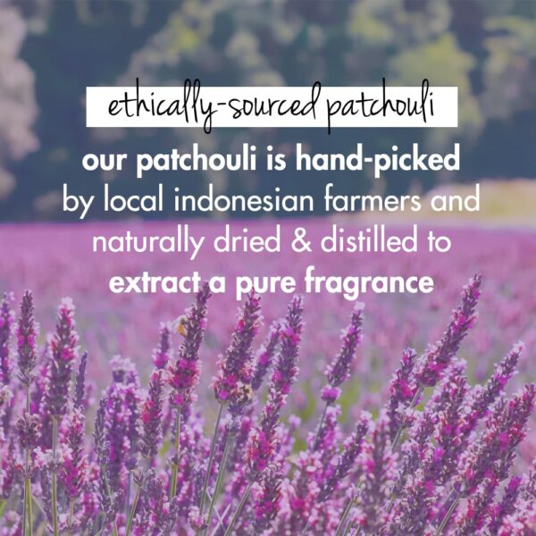 Love Beauty & Planet Onion Oil|| Blackseed & Patchouli Sulfate Free Hairfall Control Shampoo|| No - Image 6