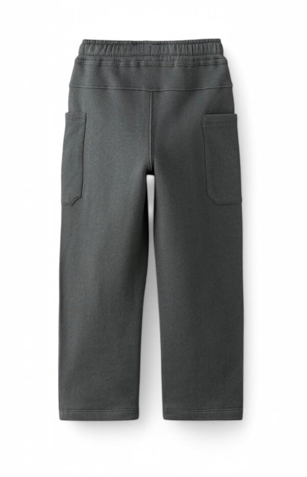Alan Jones Clothing Boys Regular Mid Rise Solid Plush Pants with Pockets - Image 3