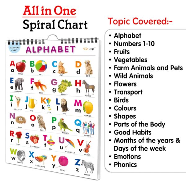 English Chart For Kids (16 Charts ) 36 x 50 cm - Children Spiral Wall Picture Chart - Image 9
