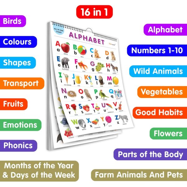 English Chart For Kids (16 Charts ) 36 x 50 cm - Children Spiral Wall Picture Chart - Image 3