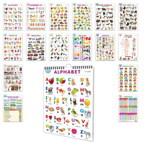 English Chart For Kids (16 Charts ) 36 x 50 cm - Children Spiral Wall Picture Chart - Image 7
