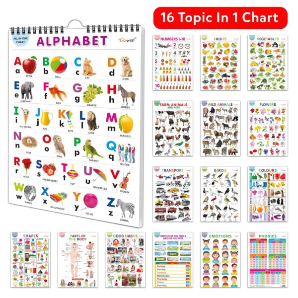 English Chart For Kids (16 Charts ) 36 x 50 cm - Children Spiral Wall Picture Chart - Image 4