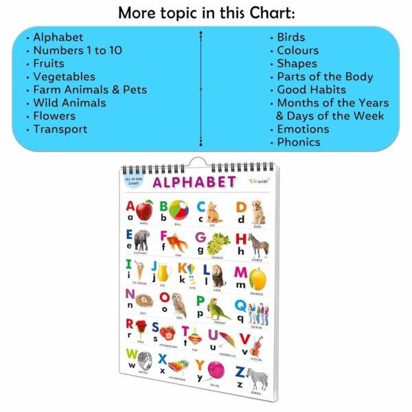 English Chart For Kids (16 Charts ) 36 x 50 cm - Children Spiral Wall Picture Chart - Image 10