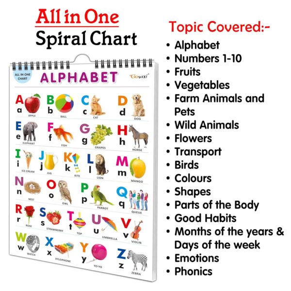 English Chart For Kids (16 Charts ) 36 x 50 cm - Children Spiral Wall Picture Chart - Image 5