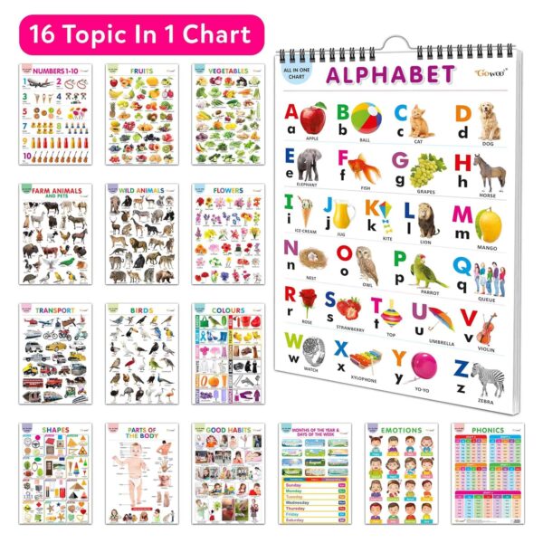 English Chart For Kids (16 Charts ) 36 x 50 cm - Children Spiral Wall Picture Chart - Image 8