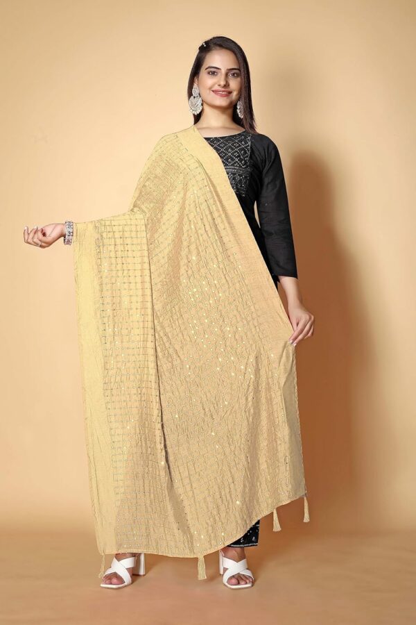 KEMZA Women's Embroidered Mirror Cotton Dupatta with Rajasthani Aari Work - Image 7