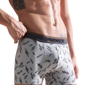 DAMENSCH Men Cotton Trunks