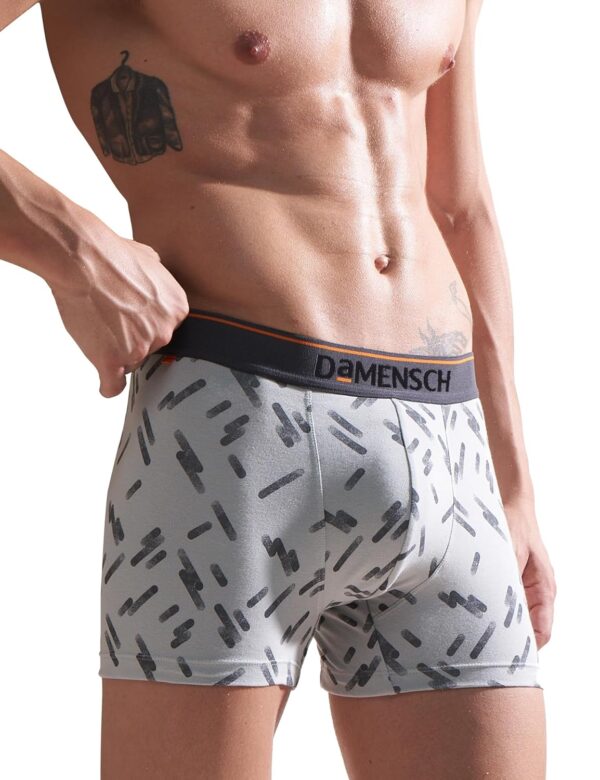 DAMENSCH Men Cotton Trunks