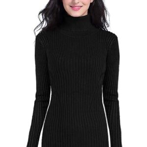 DENIMHOLIC Women's Cotton Turtle Neck Sweater