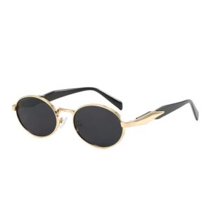 Dervin Retro Oval Sunglasses for Men & Women | Metal