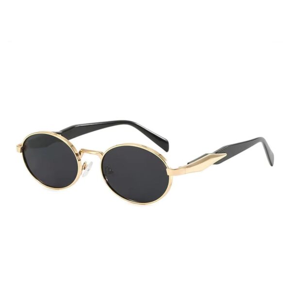 Dervin Retro Oval Sunglasses for Men & Women | Metal