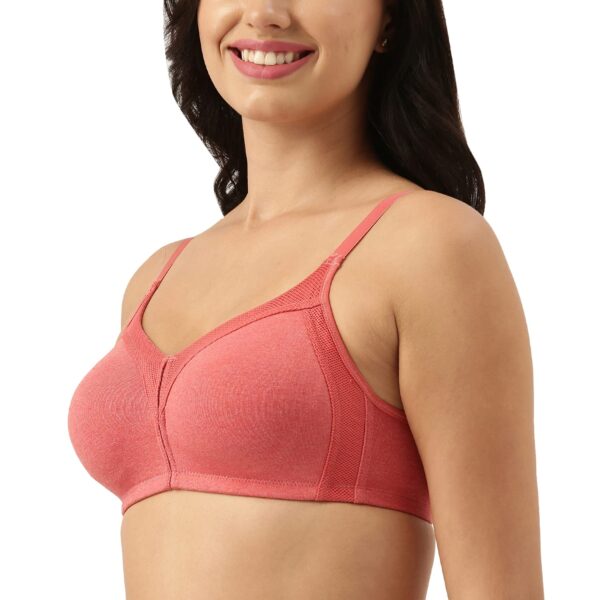 Enamor Innovations Fabcool Full Support Womens Everyday Full Figure Bra Jiggle Control and Antimicrobial.jpg