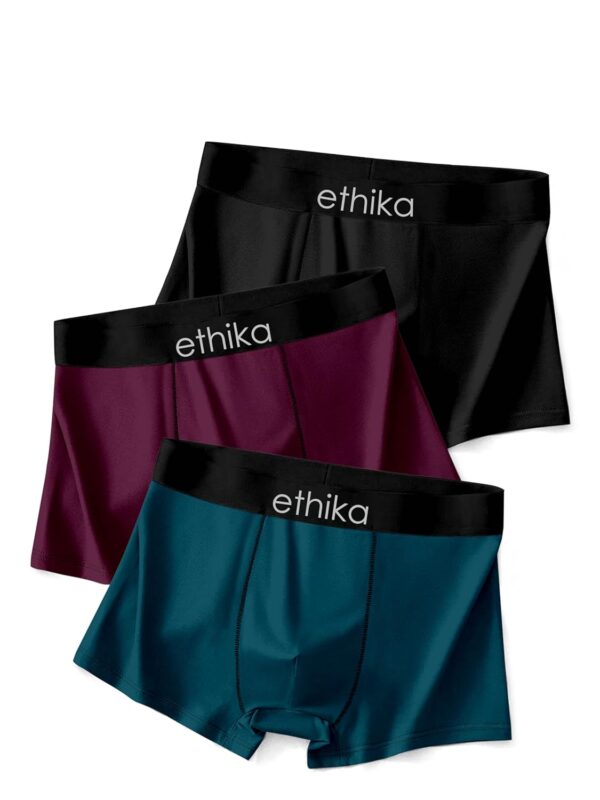 Ethika Men's Extra Thin Elastic Underwear Long Comfortable Ice Silk