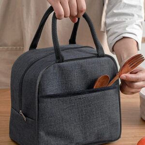 SVH Insulated Travel Lunch/Tiffin/Storage Bag for Women and Men Office,