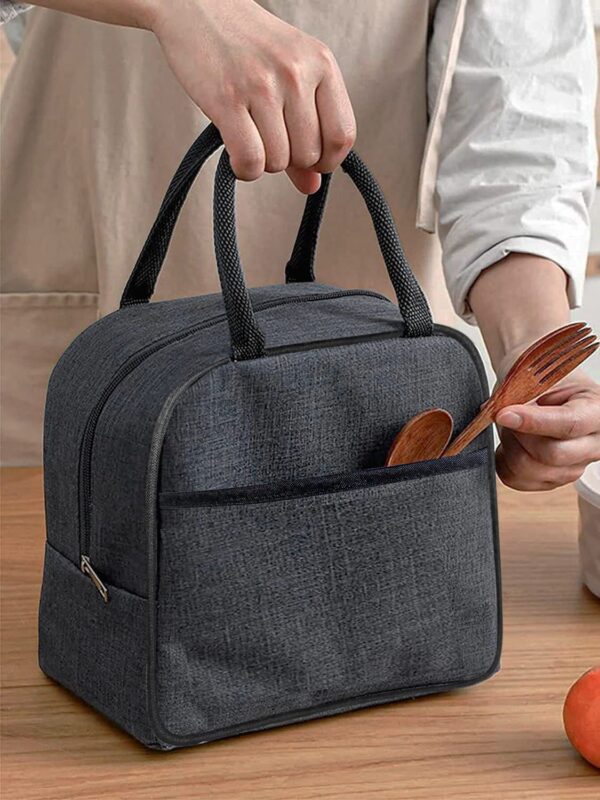 SVH Insulated Travel Lunch/Tiffin/Storage Bag for Women and Men Office,