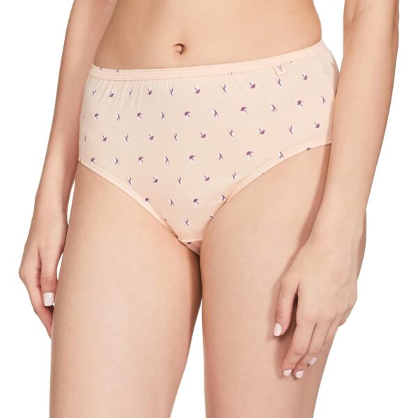 Van Heusen Women Cotton Printed Pack of 3 Hipster Panty Anti Bacterial Full Back Coverage Colors Prints.jpg
