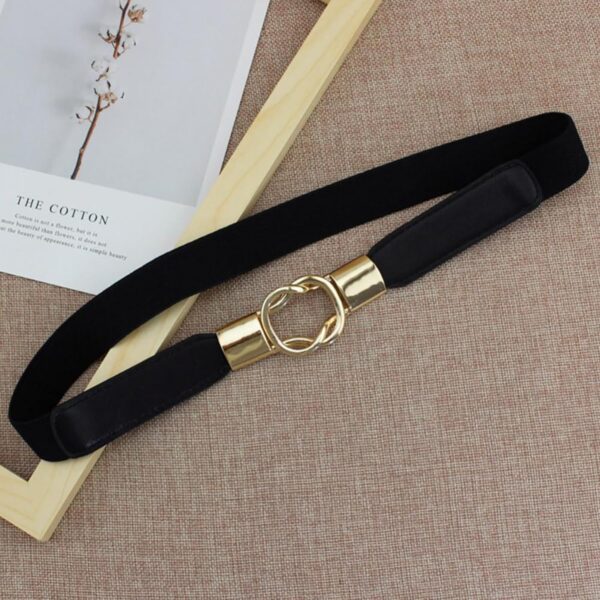 1751333458 REDHORNS Elastic Fabric Waist Belt for Women Dresses Elegant Vintage Design Stretchy Slim Ladies Belt for.jpg