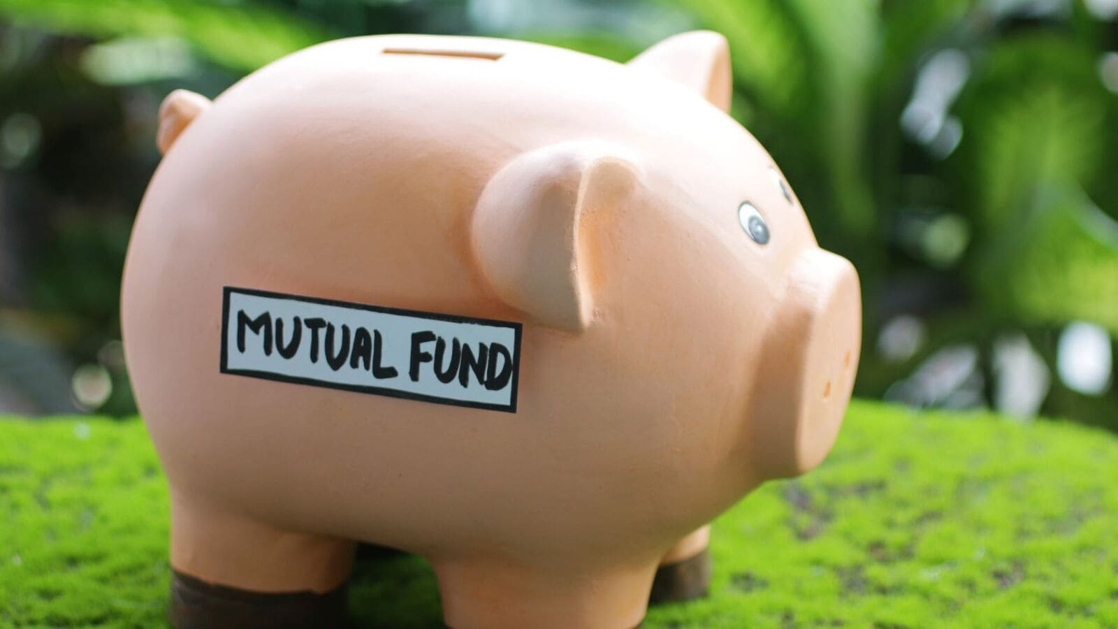 Best Mutual Funds: THESE 6 focused funds gave over 20% annualised return in past 5 years. Check list here