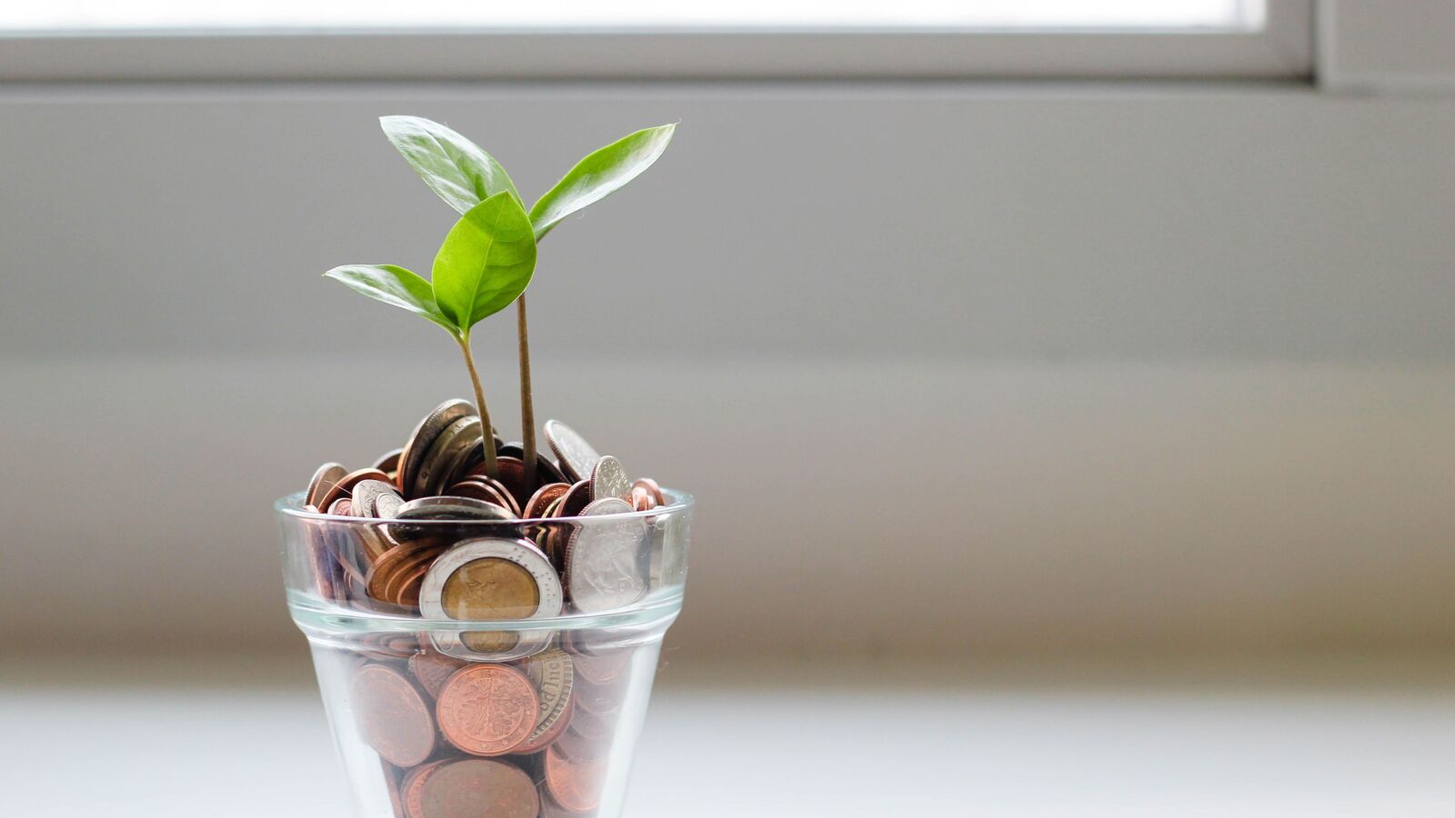 Filed ITR? Here's how you can check the refund status online