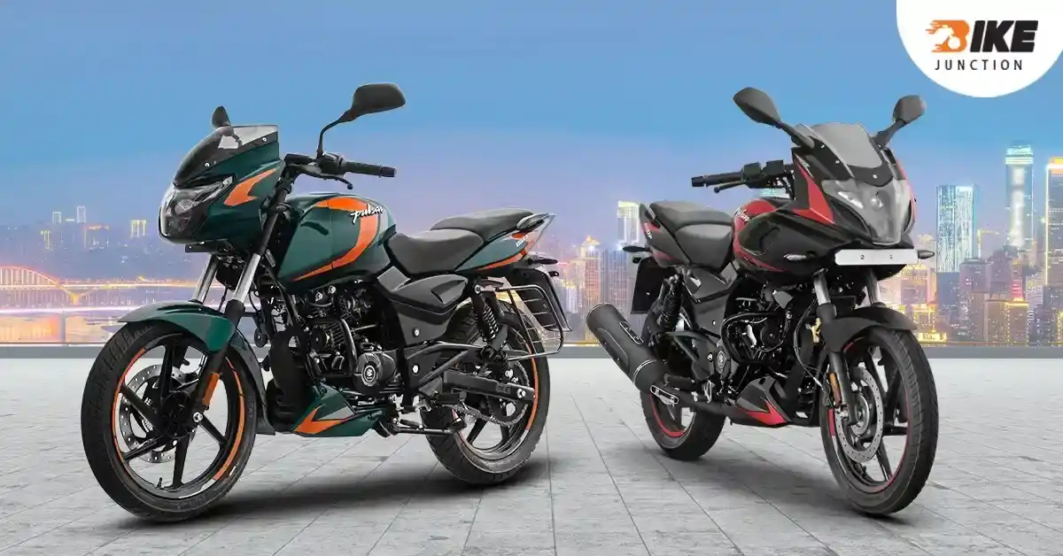 Special festive offers and